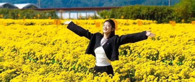 原来冬日里的江西，也会“花开成海”！