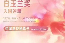 第29届白玉兰入围名单揭晓：杨紫提名视后，《繁花》包揽9项提名图片