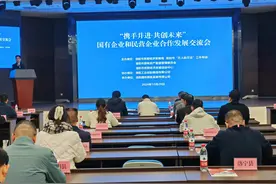 国企民企“双向奔赴”，洛阳召开国有企业和民营企业合作发展交流会图片