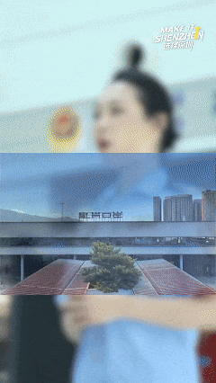 Make it Shenzhen 选择深圳  | Seamless Arrival 初到深圳 无忧通关