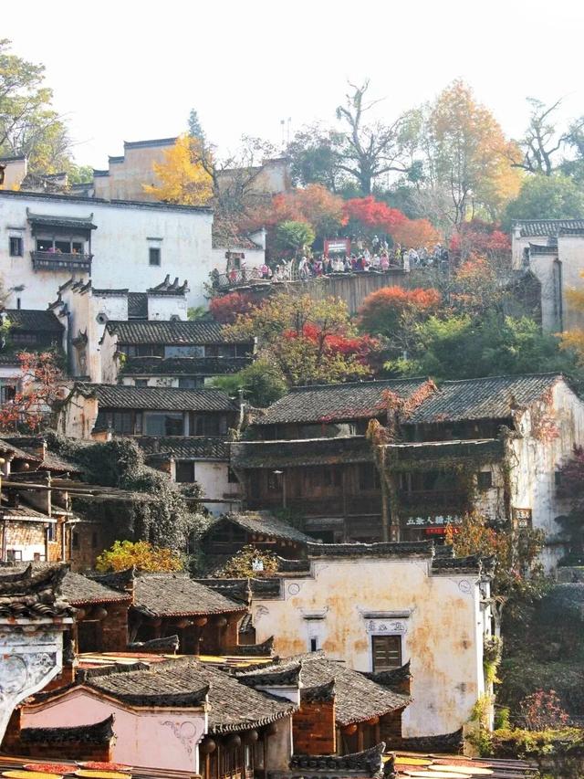 如画江西的冬日惊喜，是什么样子的？