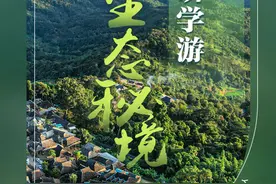 到云南来一场研学游，探索“生态秘境”图片