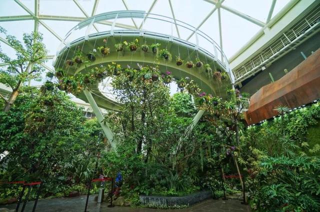 超适合冬日遛娃，北京室内“热带雨林”攻略请收好