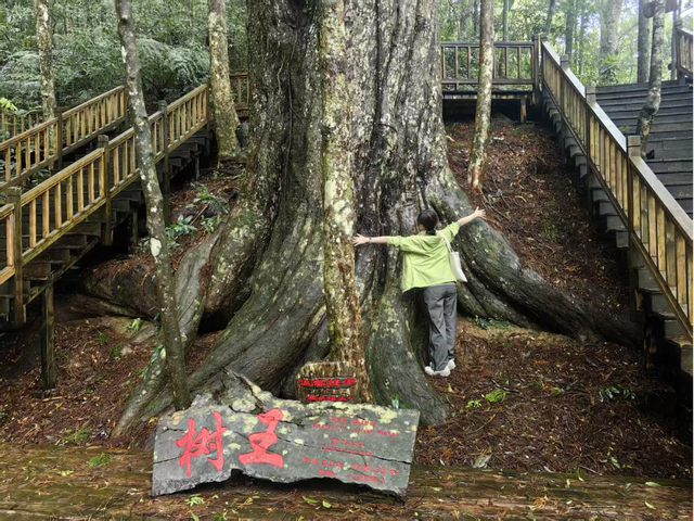 直播预告｜趣逛自然——走进海南热带雨林国家公园