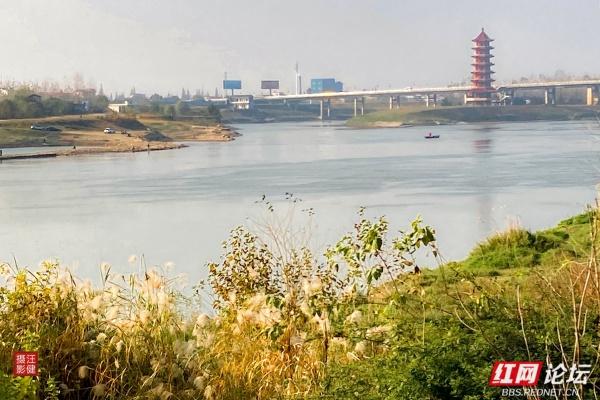 安乡桥景：塔影桥声里的故乡