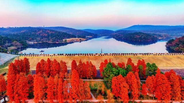 如果你要写溧水的秋天……（文末有福利）