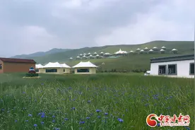 【发言人来了】抓喜秀龙  祁连山下的这片草原太美了！图片
