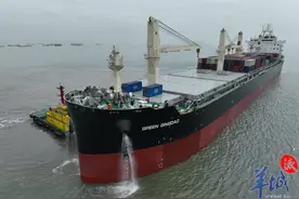 汽车集装箱运输新模式首次落地大湾区，广州南沙边检“智慧护航”图片