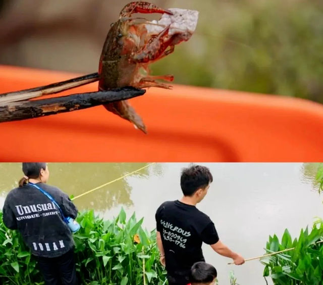 扬州小众度假指南：国庆就去七河八岛，这几家美宿让你躺着看风景！