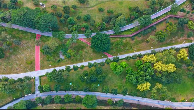 深圳最长环湖骑行道正式开放！