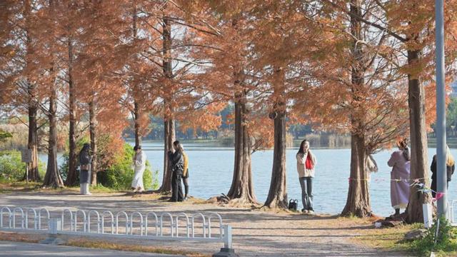 民宿满房！弥勒避寒游持续升温～