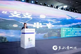 【服贸会上看贵州】贵州旅游市场持续火爆 诚邀宾朋深度体验贵州魅力图片