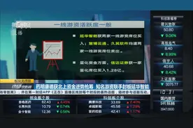 药明康德获北上资金逆势抢筹 知名游资联手封板延华智能视频封面