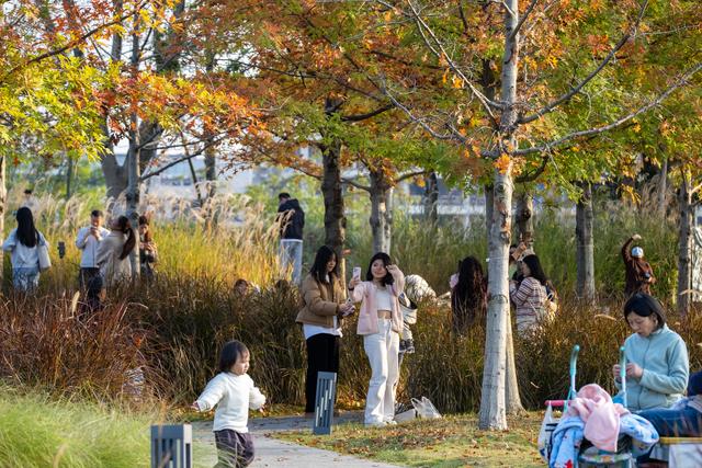 暖阳伴鸥舞 东安湖畔享周末好时光