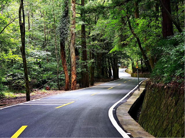 驾游浙江 | 自驾新宠！探秘天目山，这条环山公路美成仙境