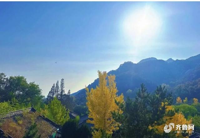 组图丨一大波美图来袭！泰山景区9个赏秋地超出片