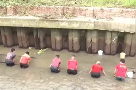 “唤醒”龙舟，赛龙舟氛围渐浓！龙舟赛带热文旅产业 衍生品爆火“出圈”图片