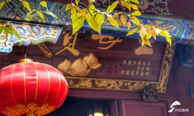 组图丨泰山脚下王母池：红墙映蜡梅 寒香醉冬阳