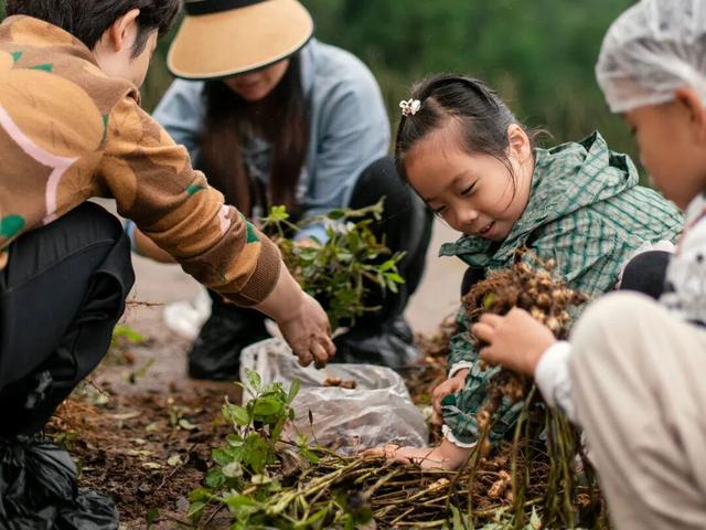 金秋有礼 绵阳有你 ‖ 国庆来安州，四大主题玩法，畅享八日悠闲！