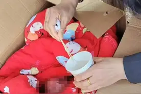 河南一唇腭裂婴儿被遗弃纸箱！最新：已找到孩子父母图片