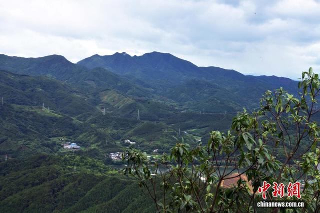 雨后武夷南麓宛如青绿水墨画