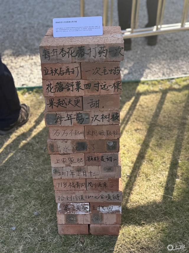 阳光正好，风很温柔，上海的秋天，阅读让人怦然心动