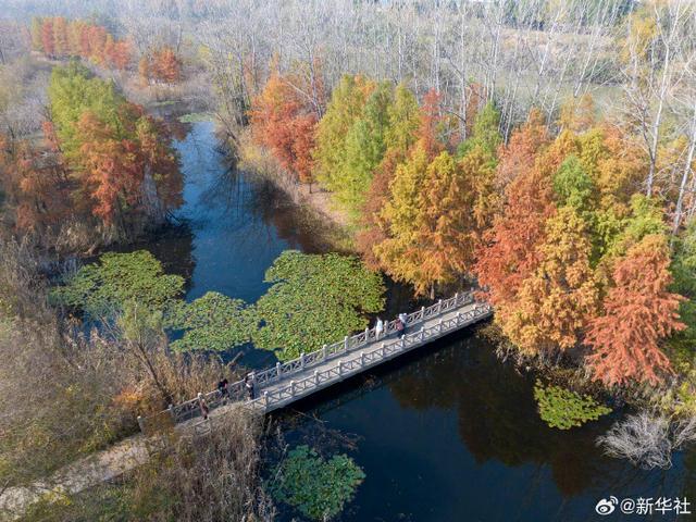 初冬里的大美中国
