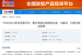 新特DEV1现多次断电失速故障投诉 厂商却为何称搜索不到车辆信息？图片