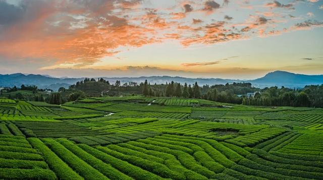 四川最受欢迎网红打卡地——叙永红岩村上榜