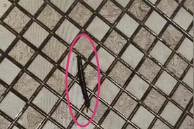 “护工”被打死了？上海一老伯求助110，因乡音重险闹乌龙图片