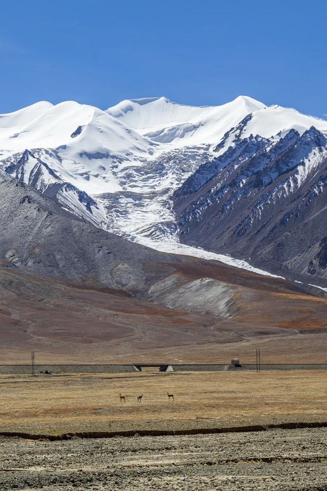 中国最伟大的荒野，从盗猎战场到生命乐园
