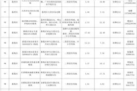 广州市2024年第二批集中供地拟出让30宗地，14宗地曾首批挂出图片