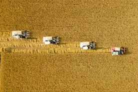 黑龙江打造更加安全稳固的“大粮仓”图片