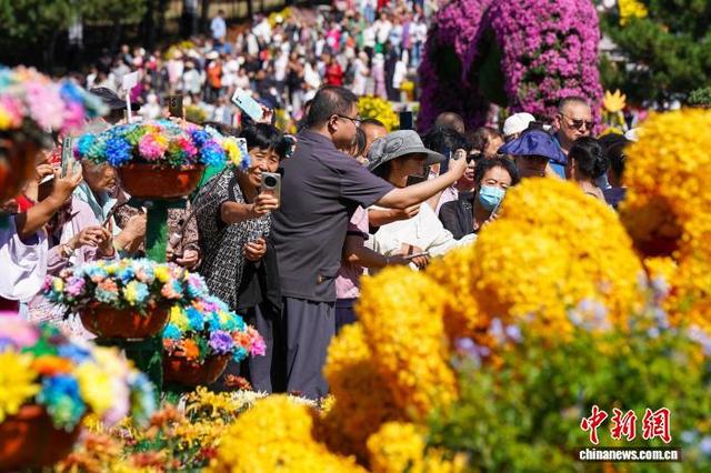 黑龙江哈尔滨：7万盆菊花打造秋日盛宴