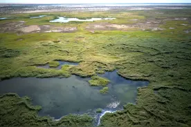 【甘快看】向沙而行图片