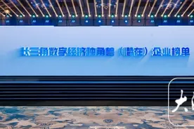 长三角“数字独角兽”榜单发布，上海杭州苏州南京合肥五市最多图片