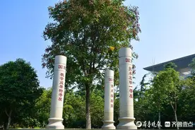 +7！山东农业大学专业上新图片