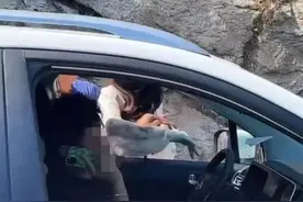 男子遭“路虎女”逆行殴打！回应：不和解！图片