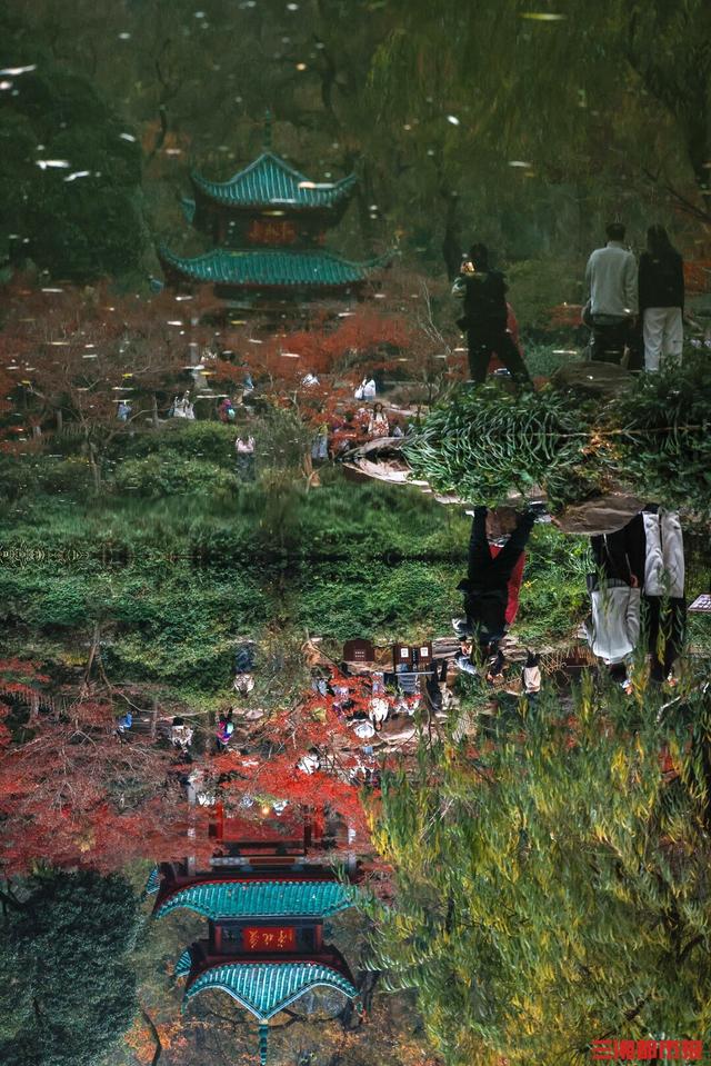 我是刘贵香 |  岳麓山上