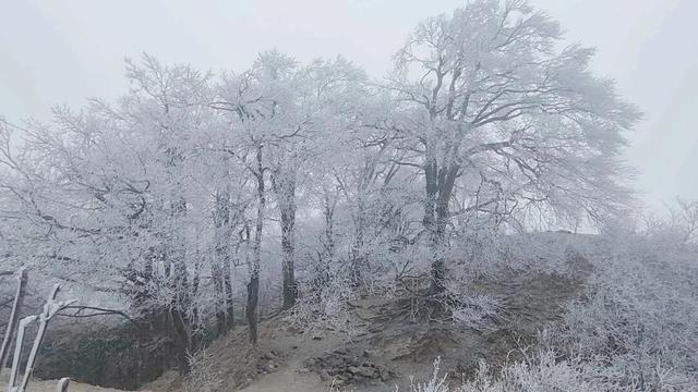 融水2026第一场雪来啦！你的朋友圈被刷屏了吗？