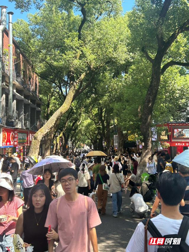 国庆观文旅⑥丨中秋月圆游兴浓 湖南文旅市场活力强劲