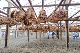 品腊味跨古道赏梅花逛集市 大余过年玩法多图片