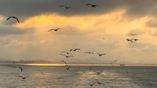 “双12”年终大促，错过再等一年！青岛旅游集团海上游船花样玩！