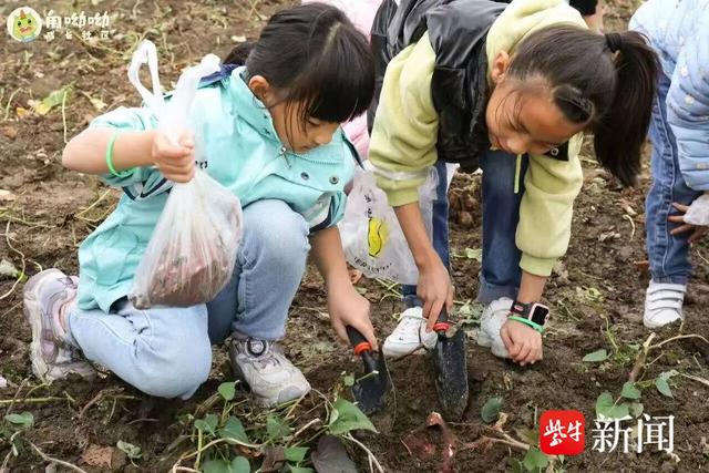 跟着鸡头米游苏州甪直，开启精彩寻鲜之旅！