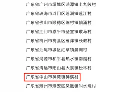 公示中！中山神湾镇神溪村入选中国美丽休闲乡村图片