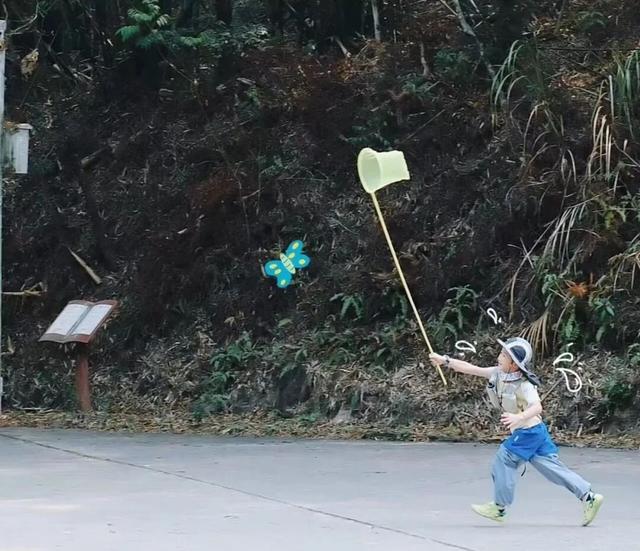 秋日亲子探险正当时！来八寨沟开启一场自然寻宝之旅