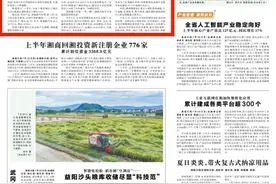 湖南外贸韧性强活力足图片