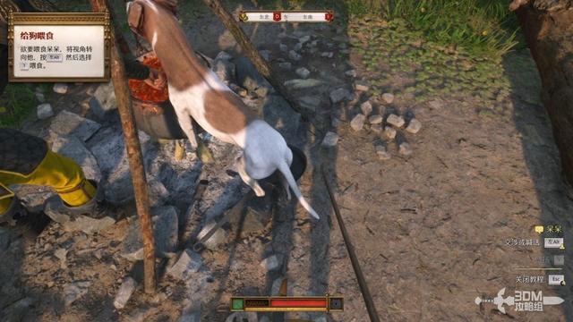 《天国：拯救2》图文流程任务全攻略