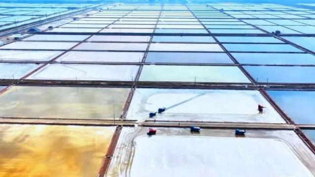 潍坊：以海为媒兴文脉