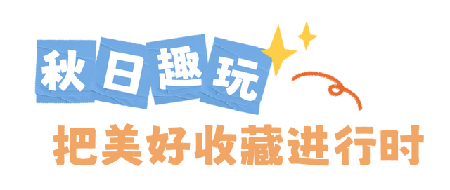 圆锥绣球+硫华菊盛放！植物园双花展上新！